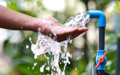 Source d’eau naturelle : comment protéger et entretenir votre captage au quotidien