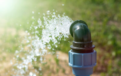 Vieux forage sur un terrain : Faut-il faire analyser l&rsquo;eau ?